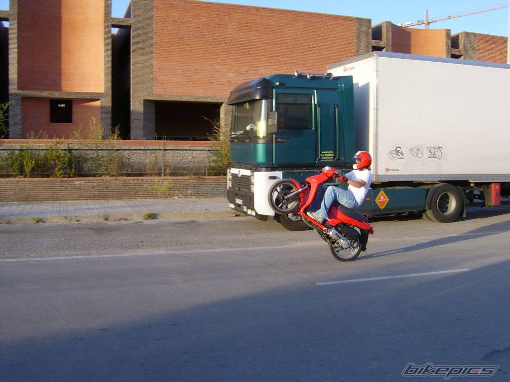Photo 232717