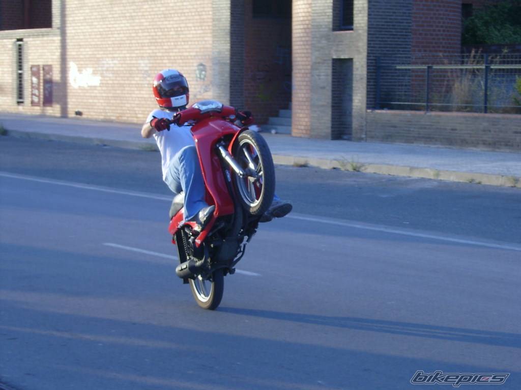 Photo 232719