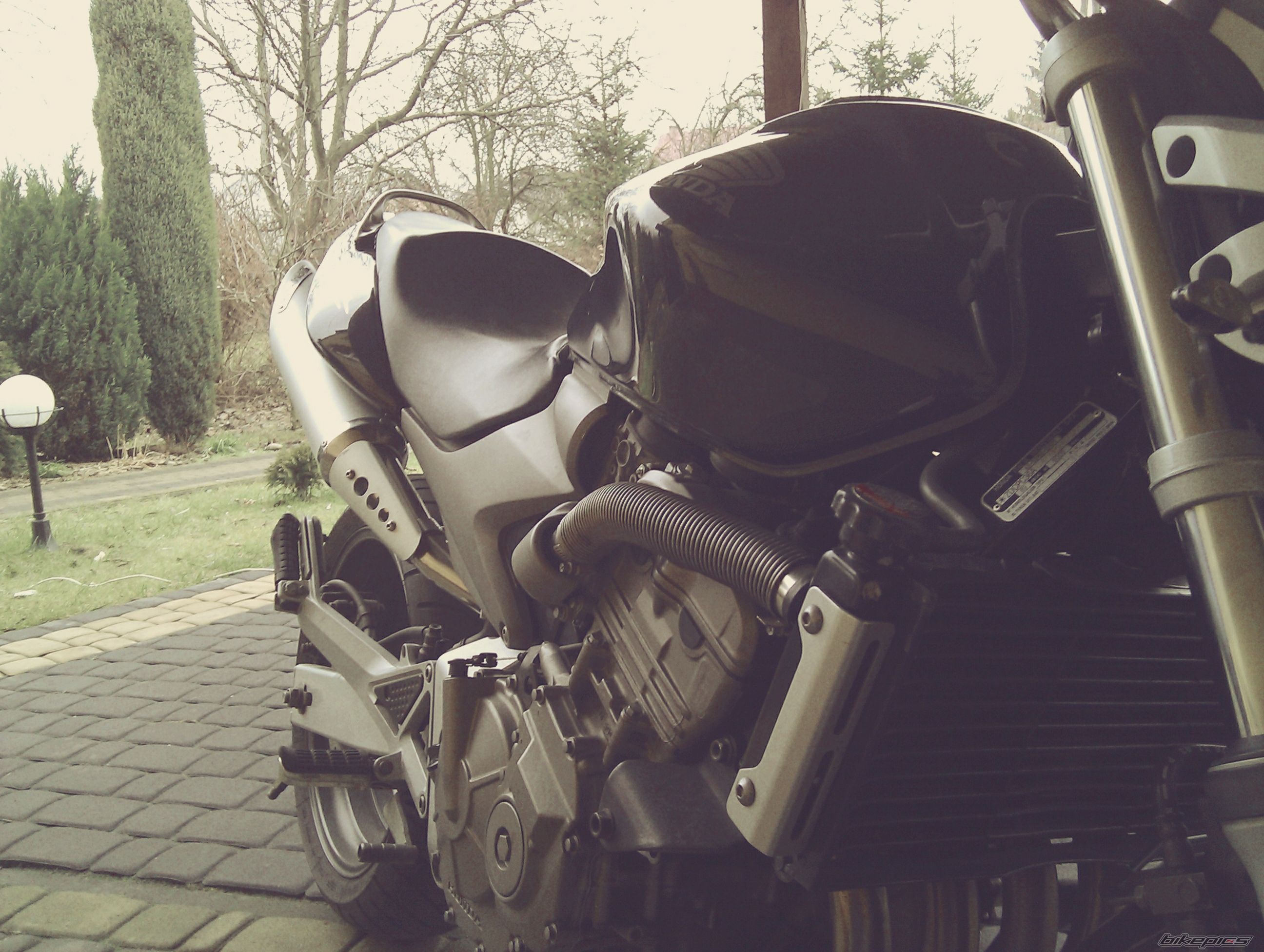 Photo 2327241