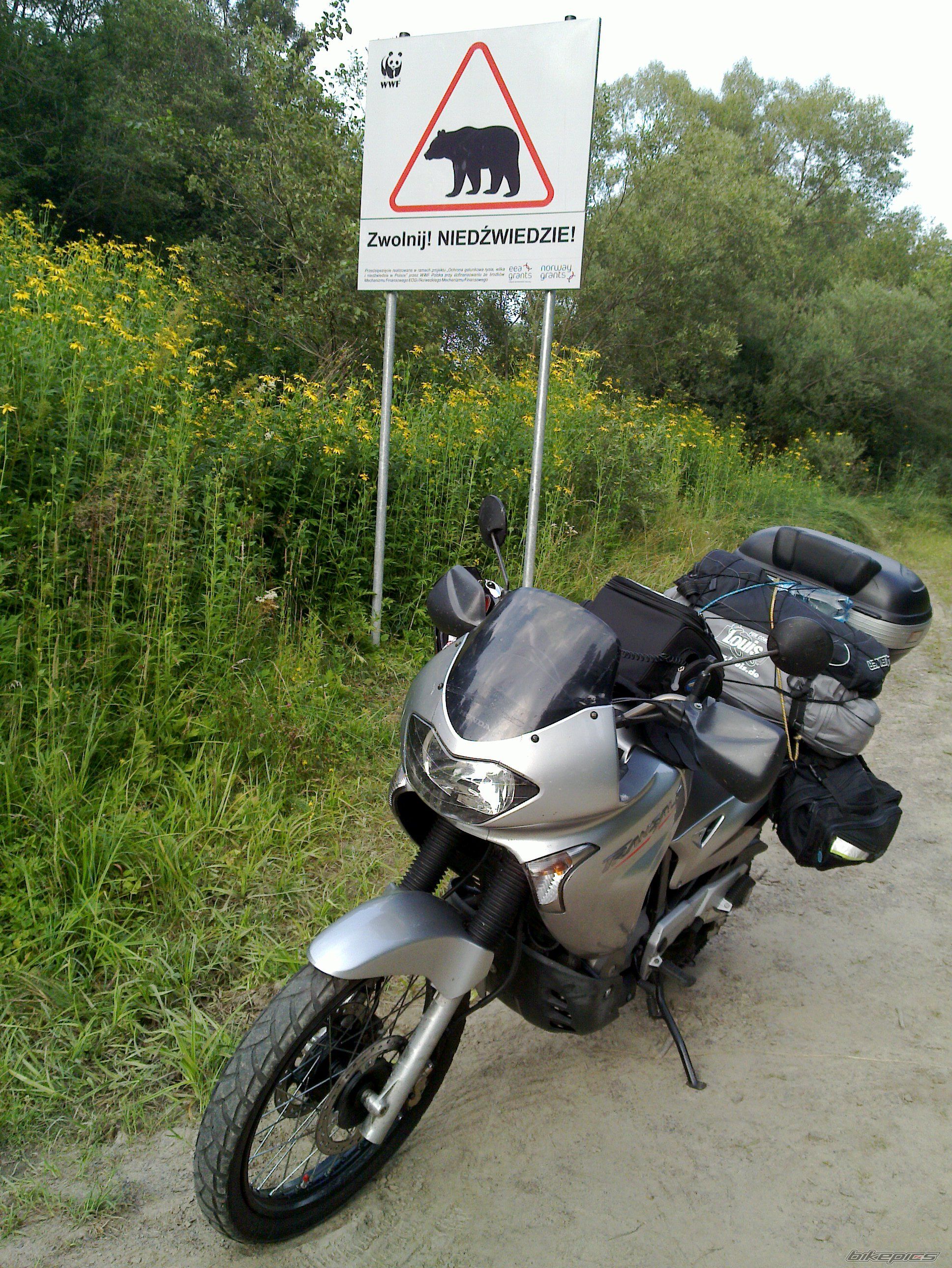 Photo 2327339
