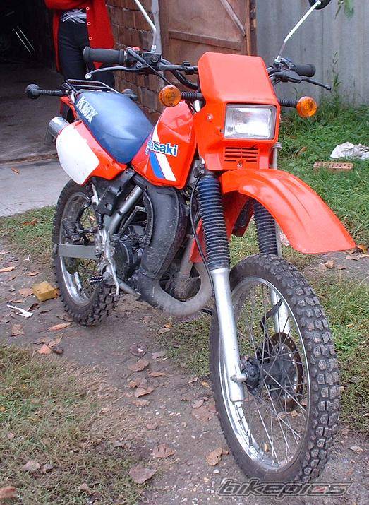 Photo 232735