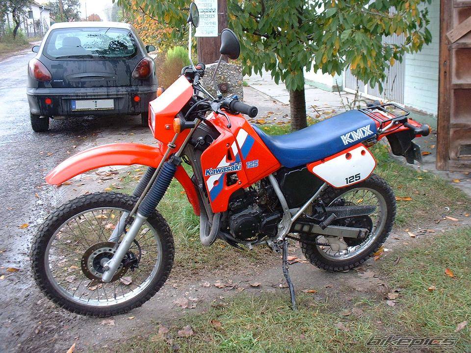 Photo 232737
