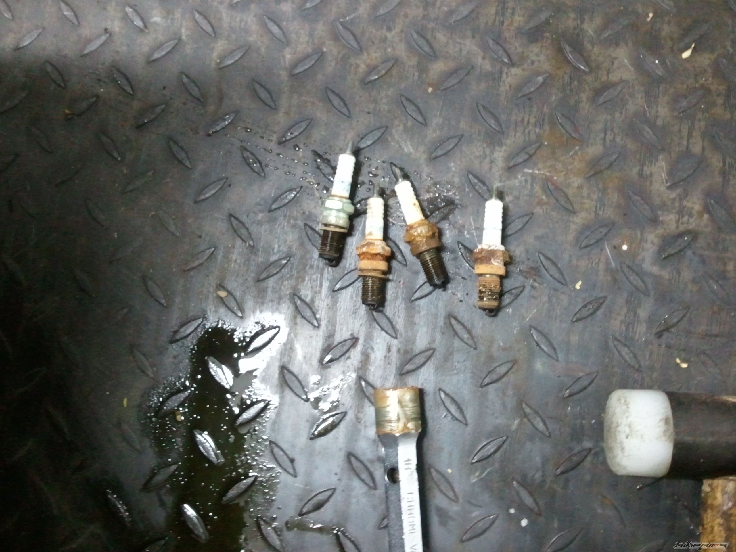Photo 2327544