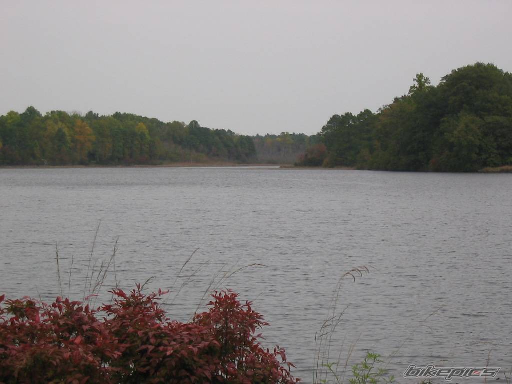 Photo 232755
