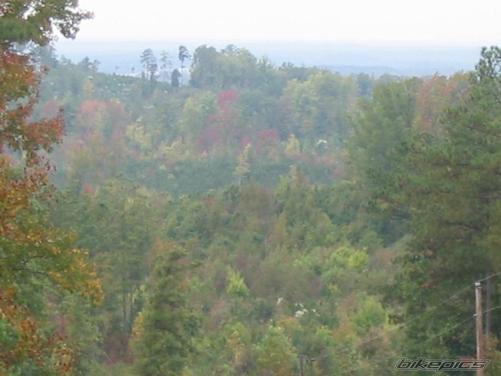 Photo 232756