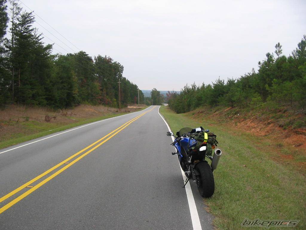 Photo 232757