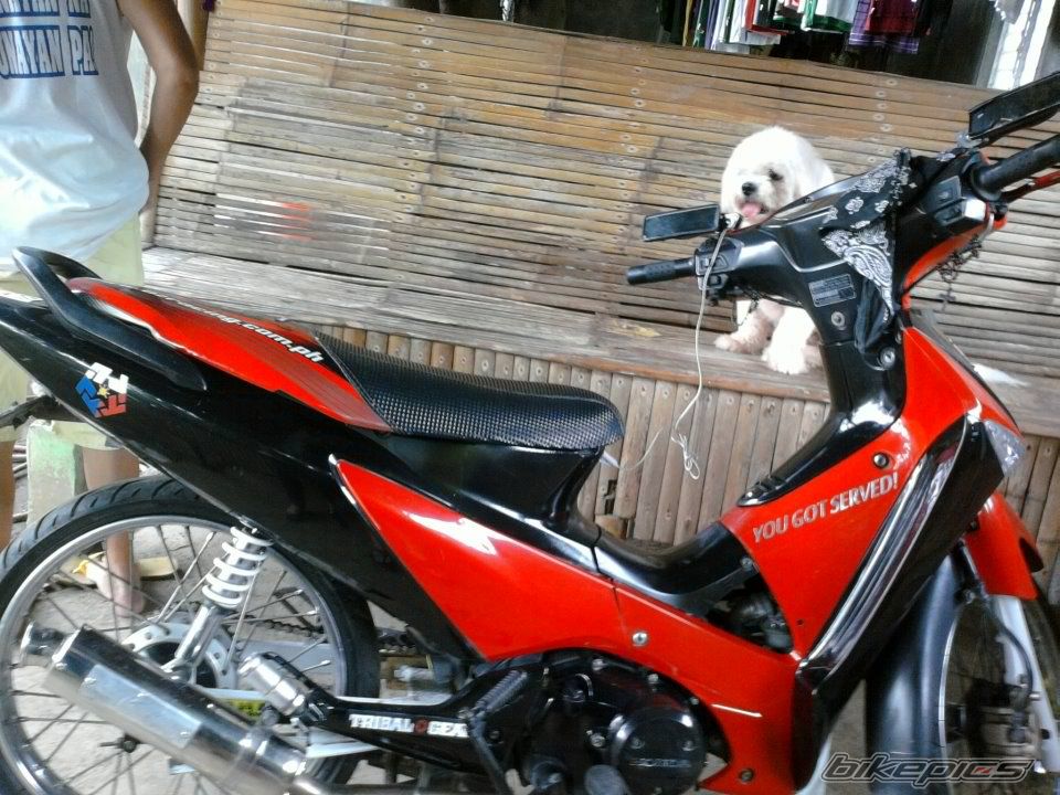Photo 2327648