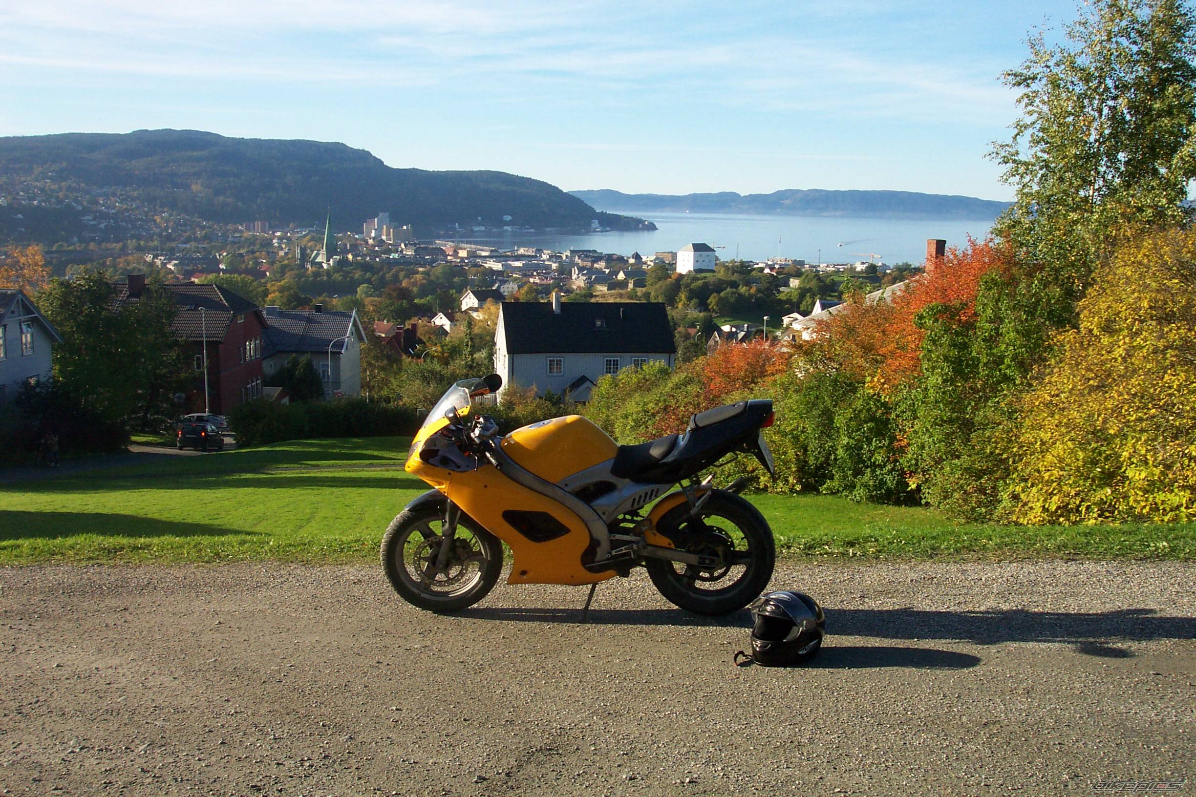 Photo 232768