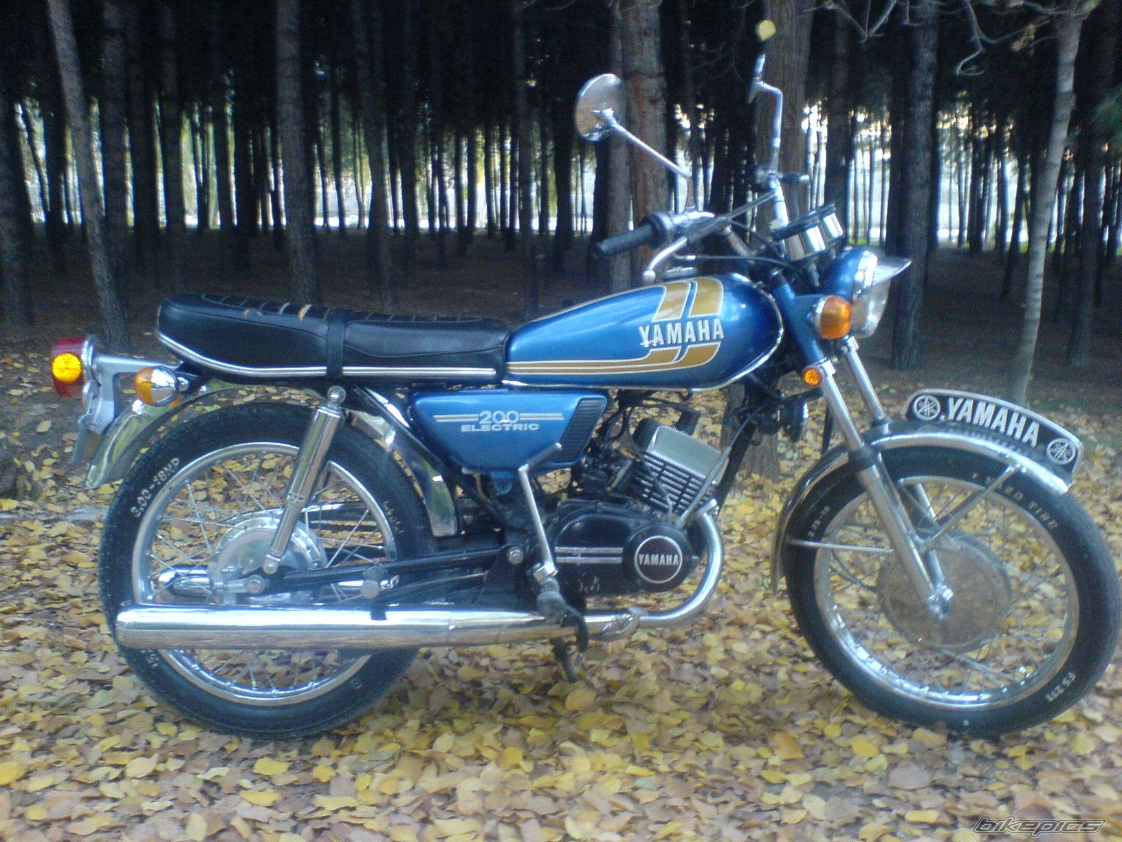 Photo 2327702