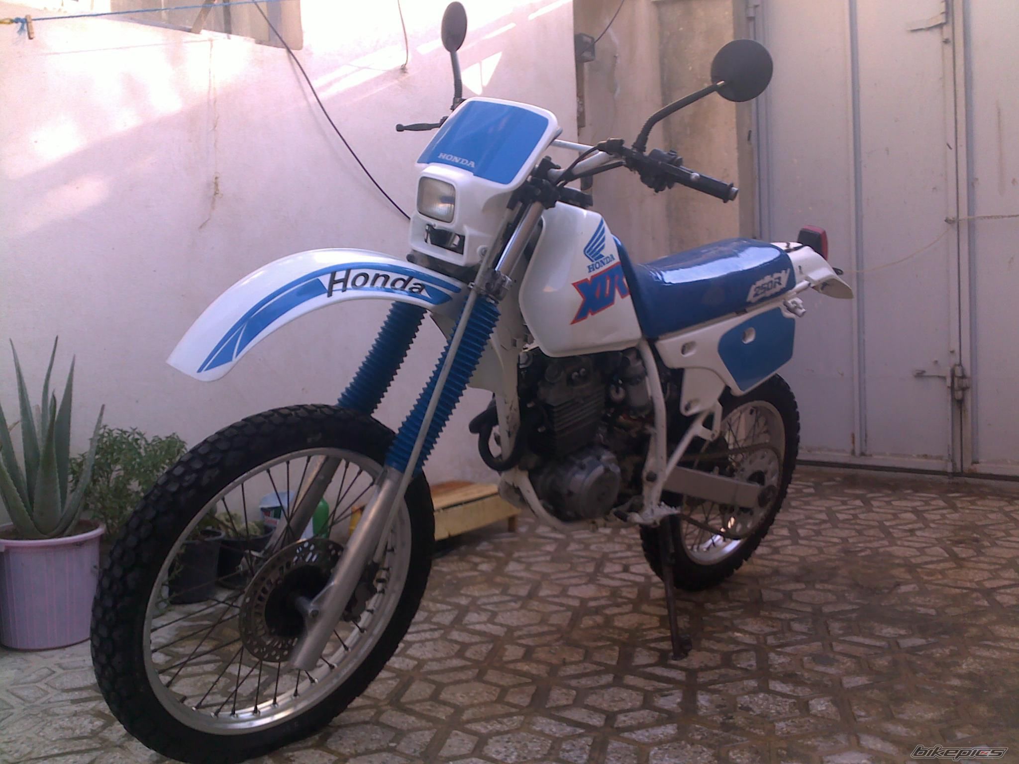 Photo 2327726