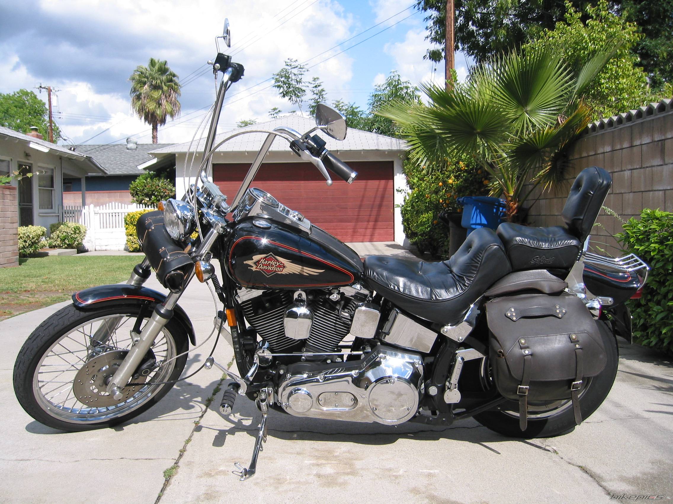 Photo 232778