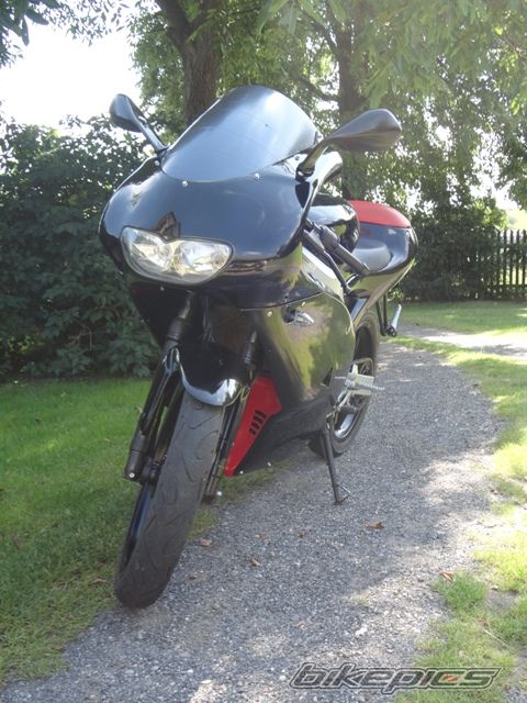 Photo 2327788