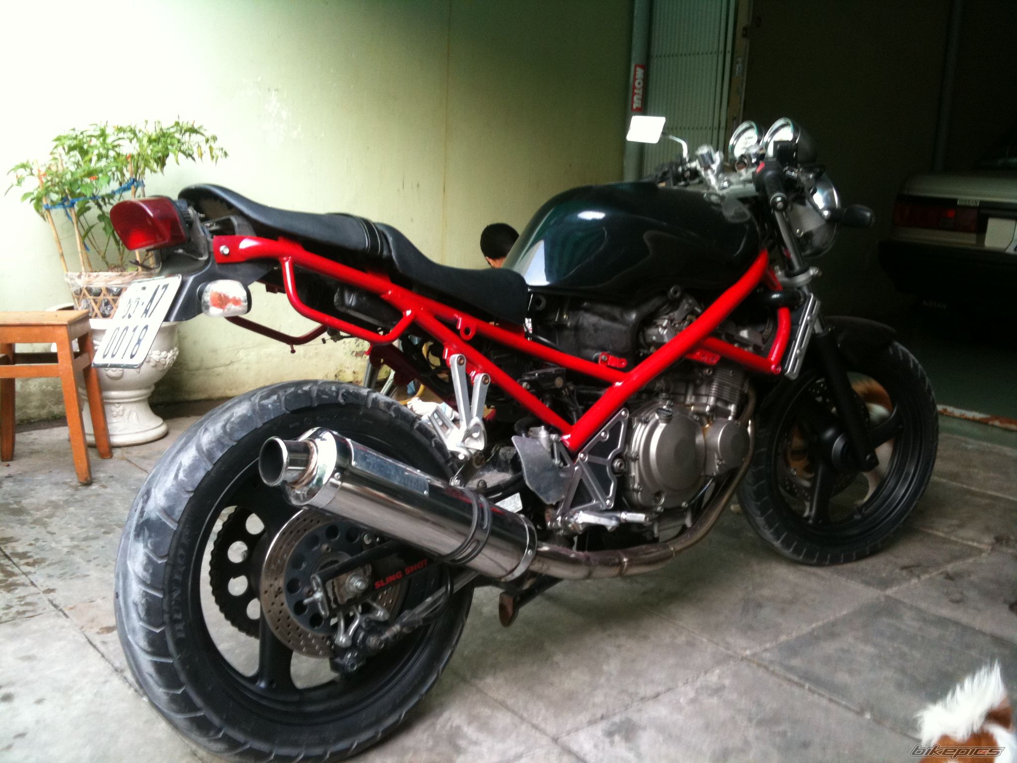 Photo 2327838