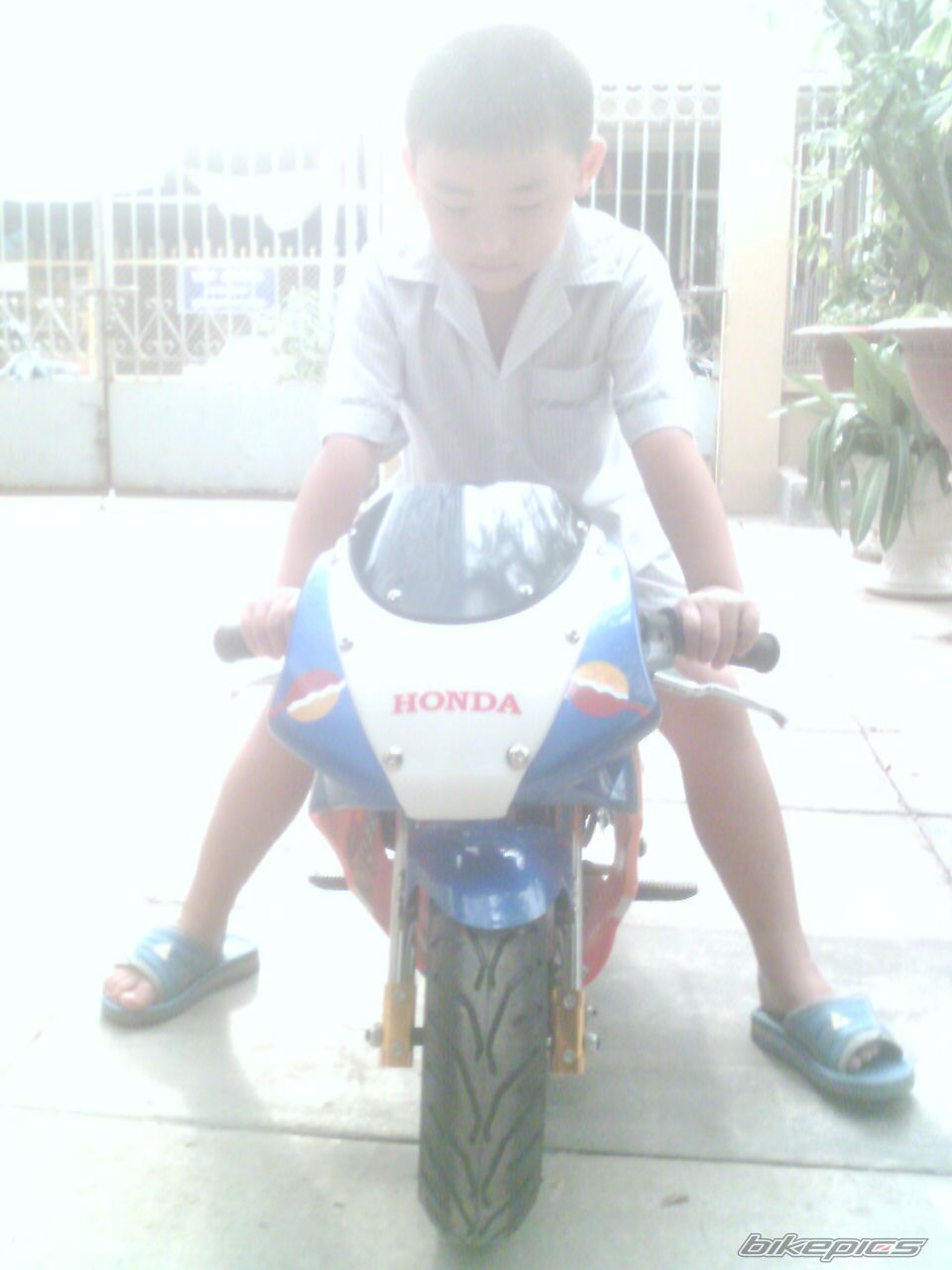 Photo 2327840