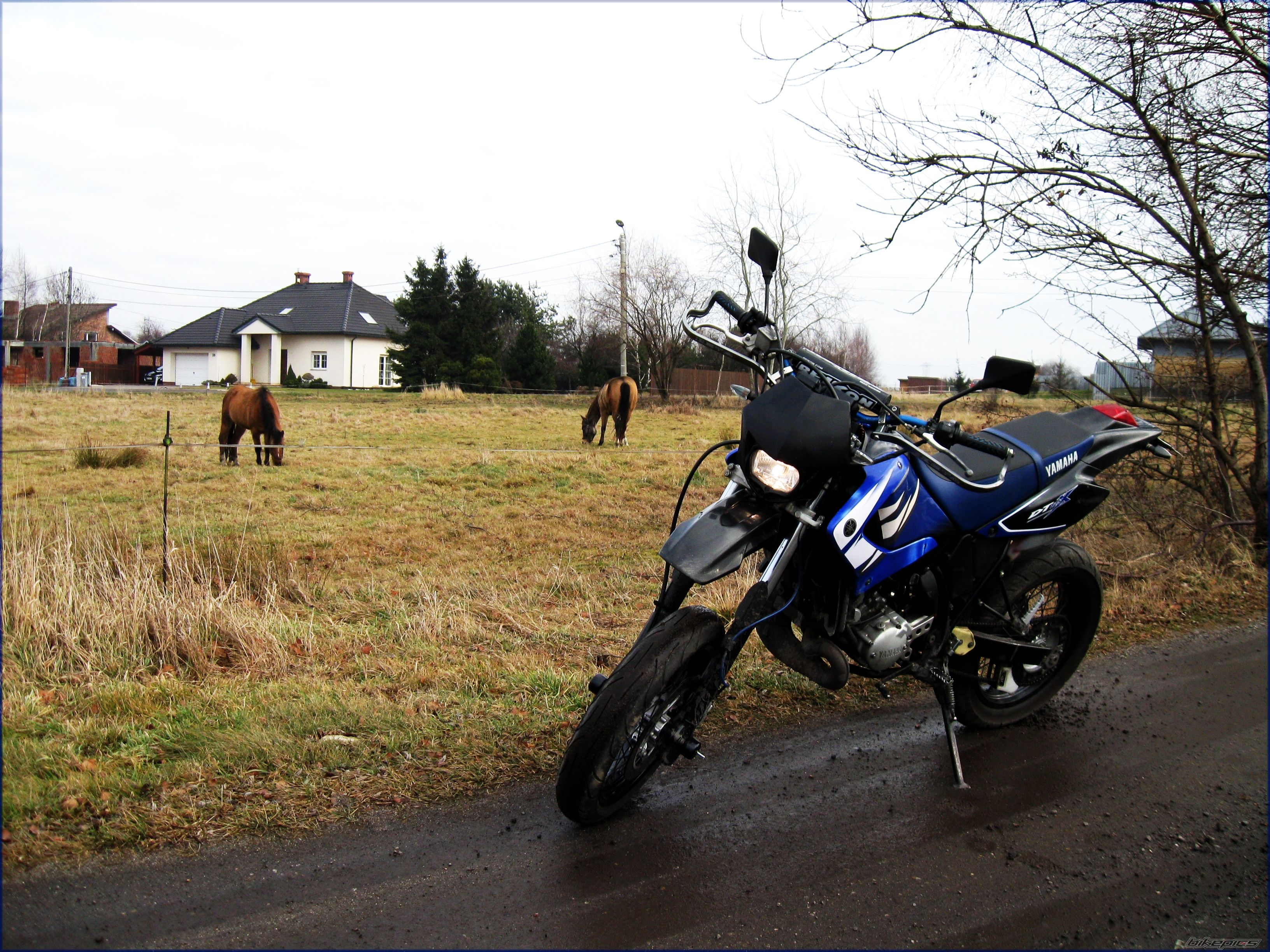 Photo 2327867