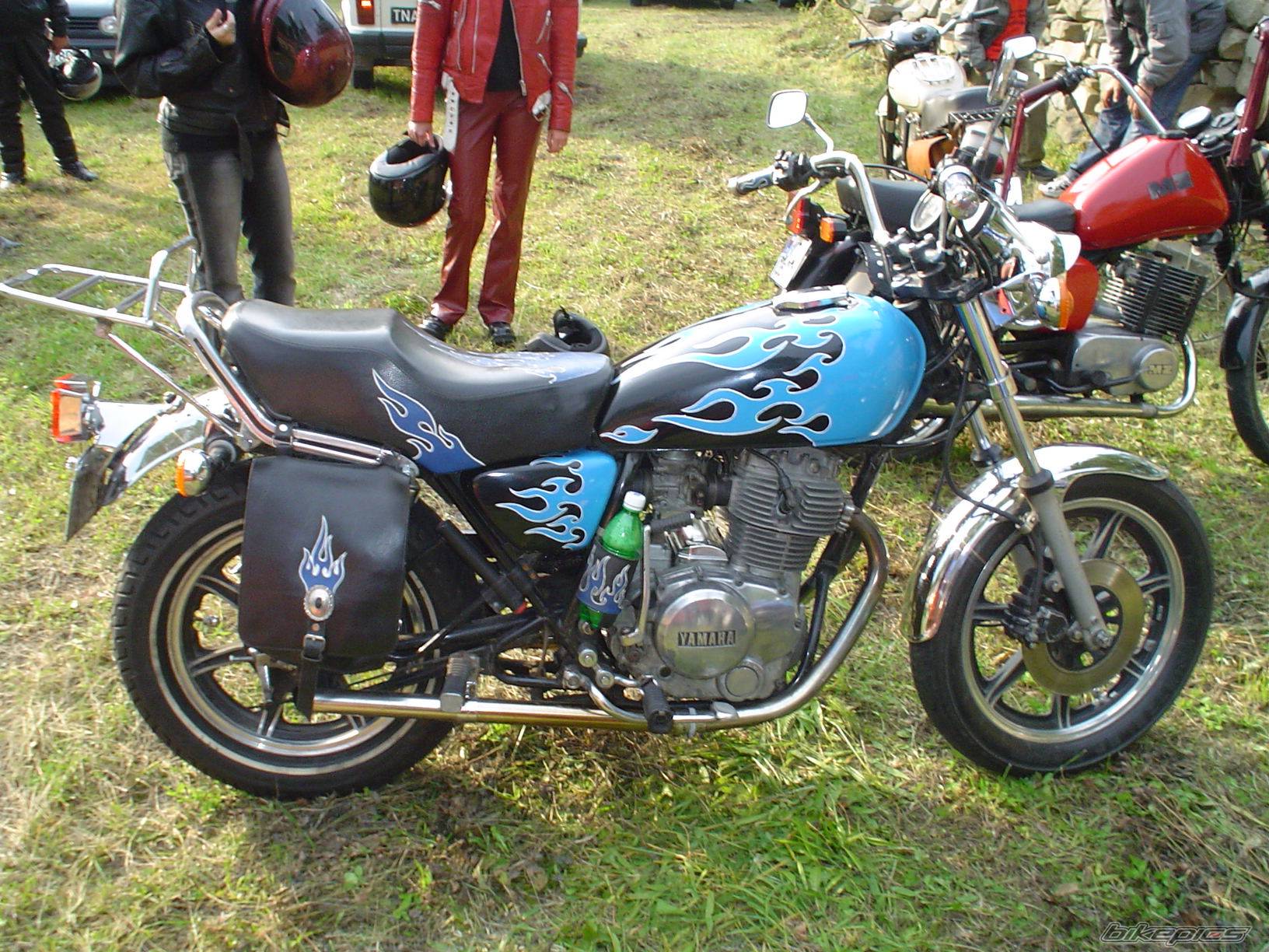 Photo 232797