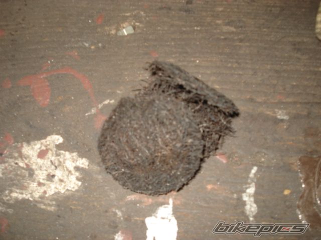 Photo 2328165