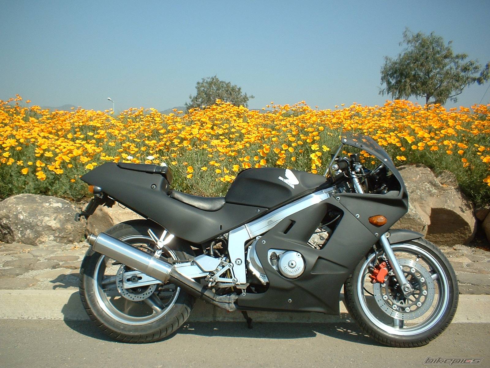 Bike Photo 232824