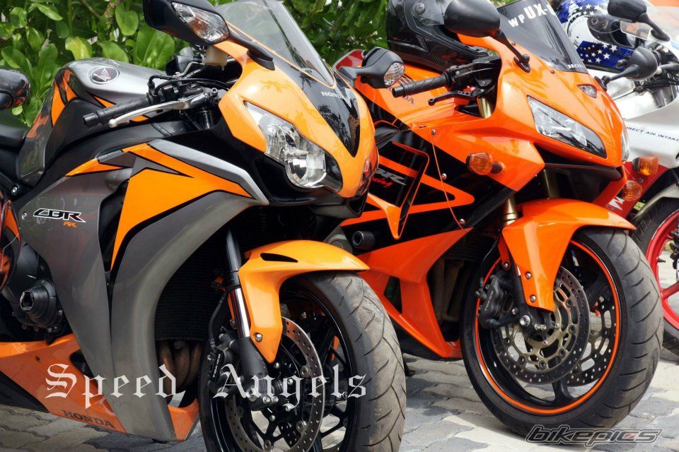 Photo 2328240