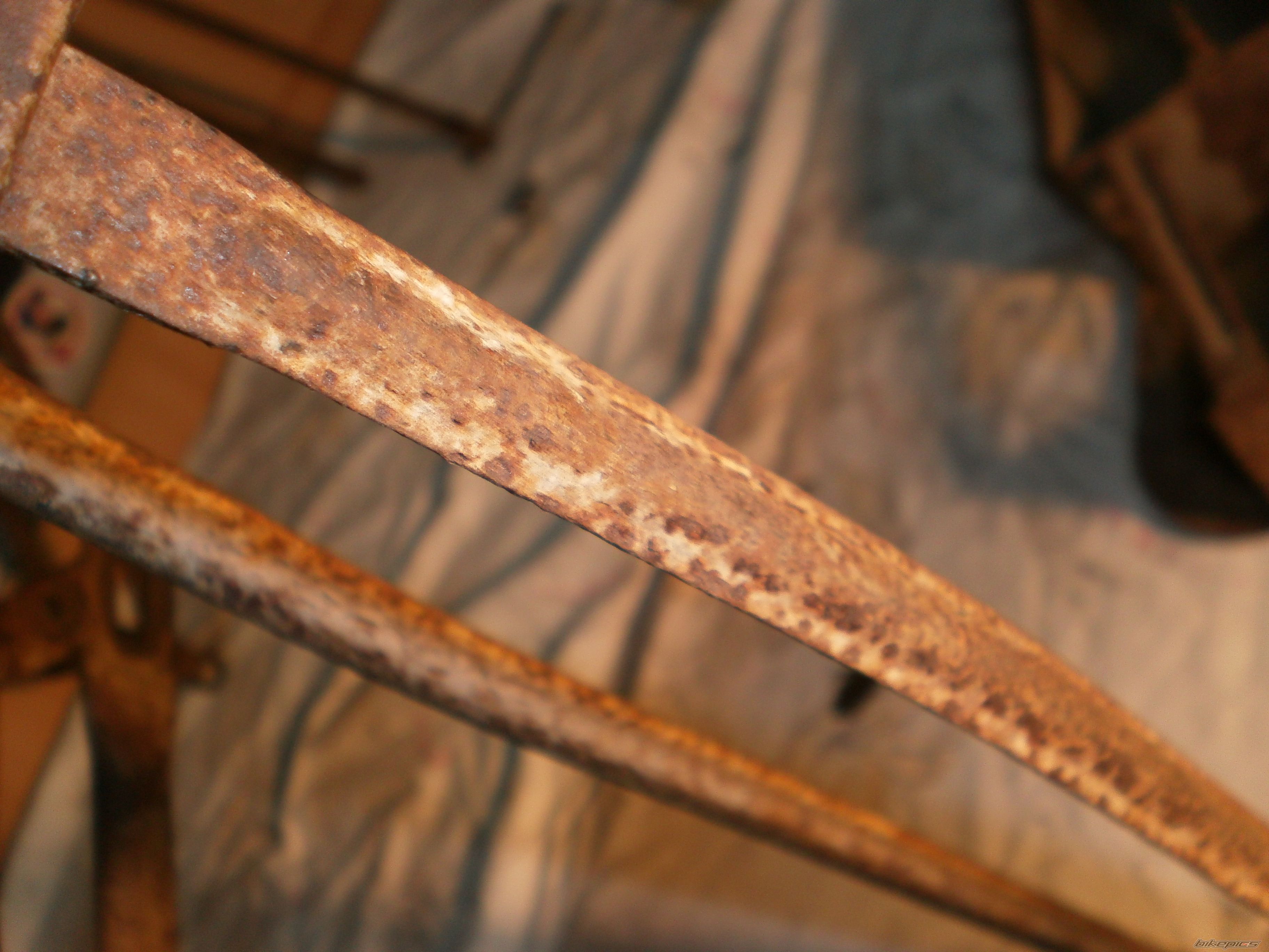 Photo 2328249
