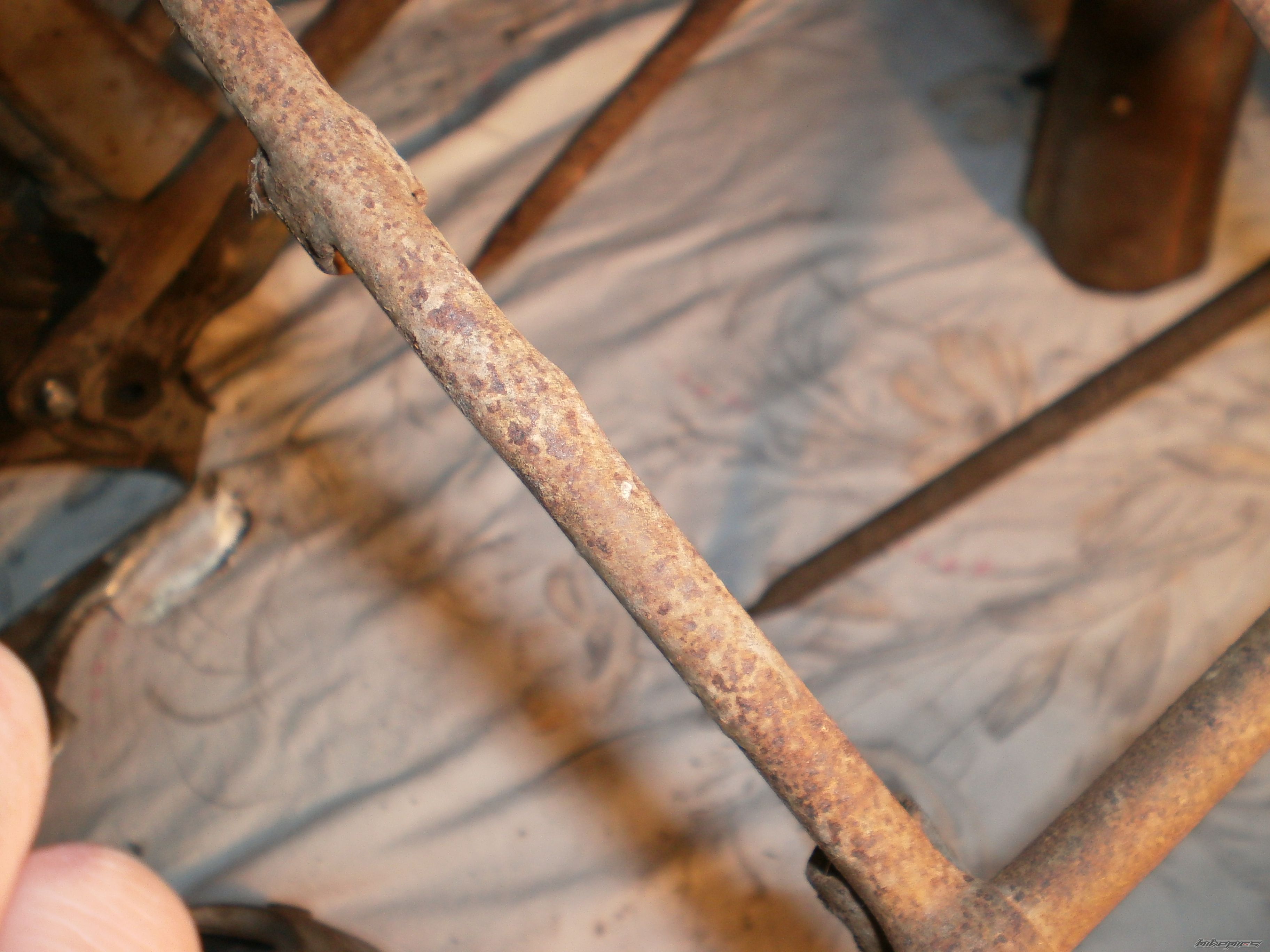 Photo 2328272