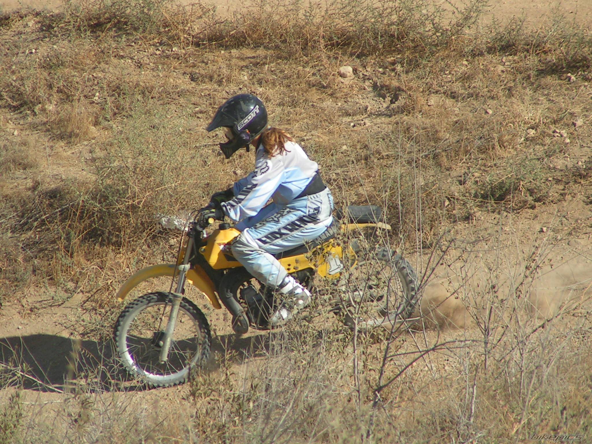 Photo 232837