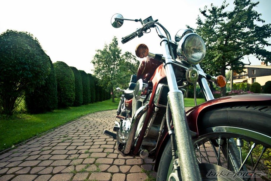 Photo 2328444