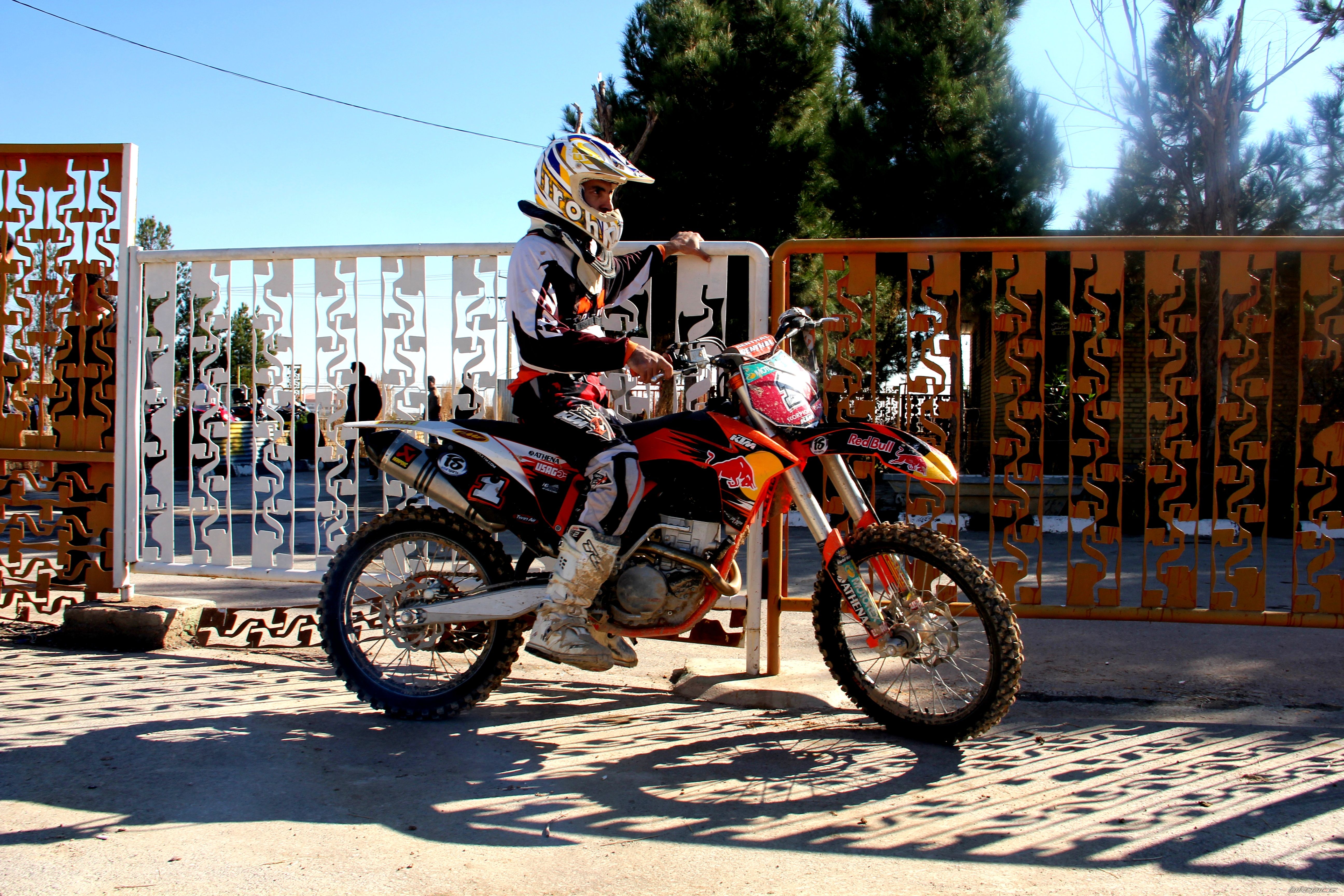 Photo 2328454