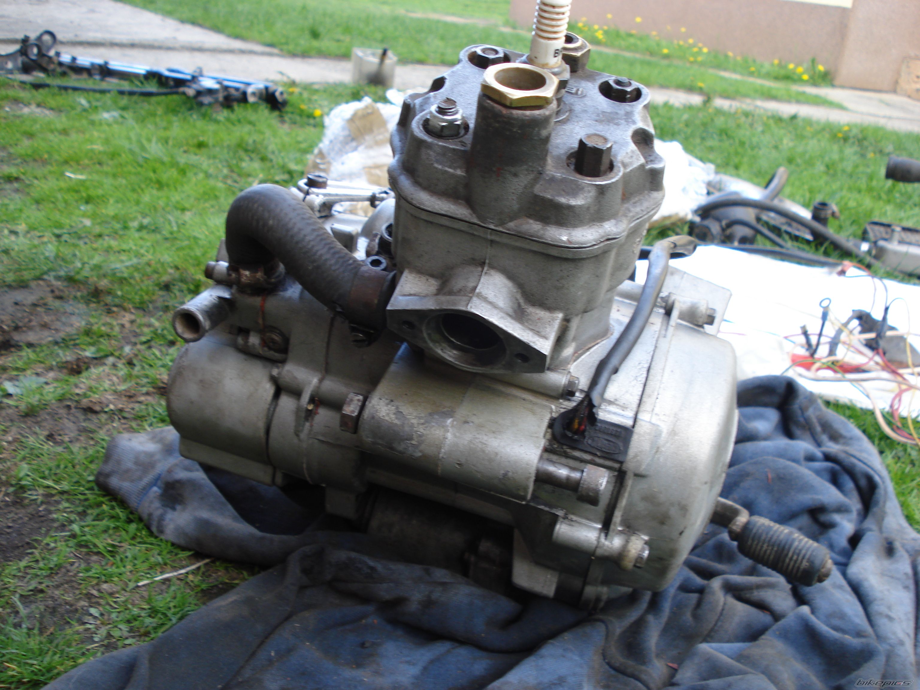 Photo 2328487