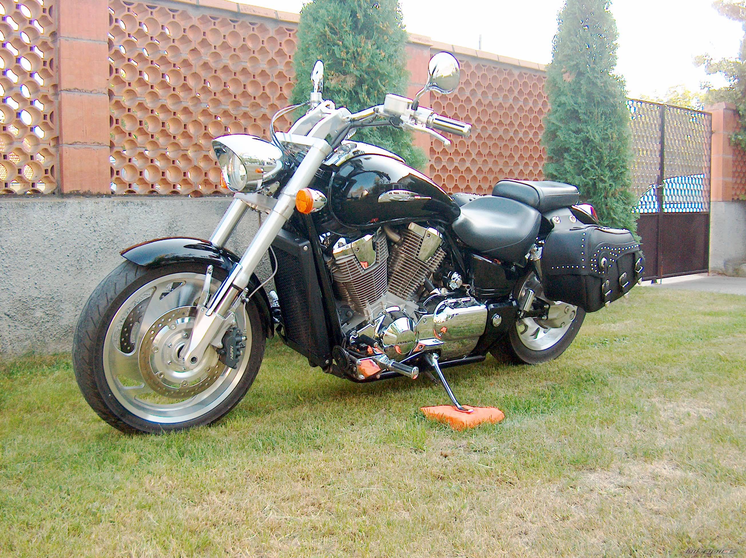 Photo 232851