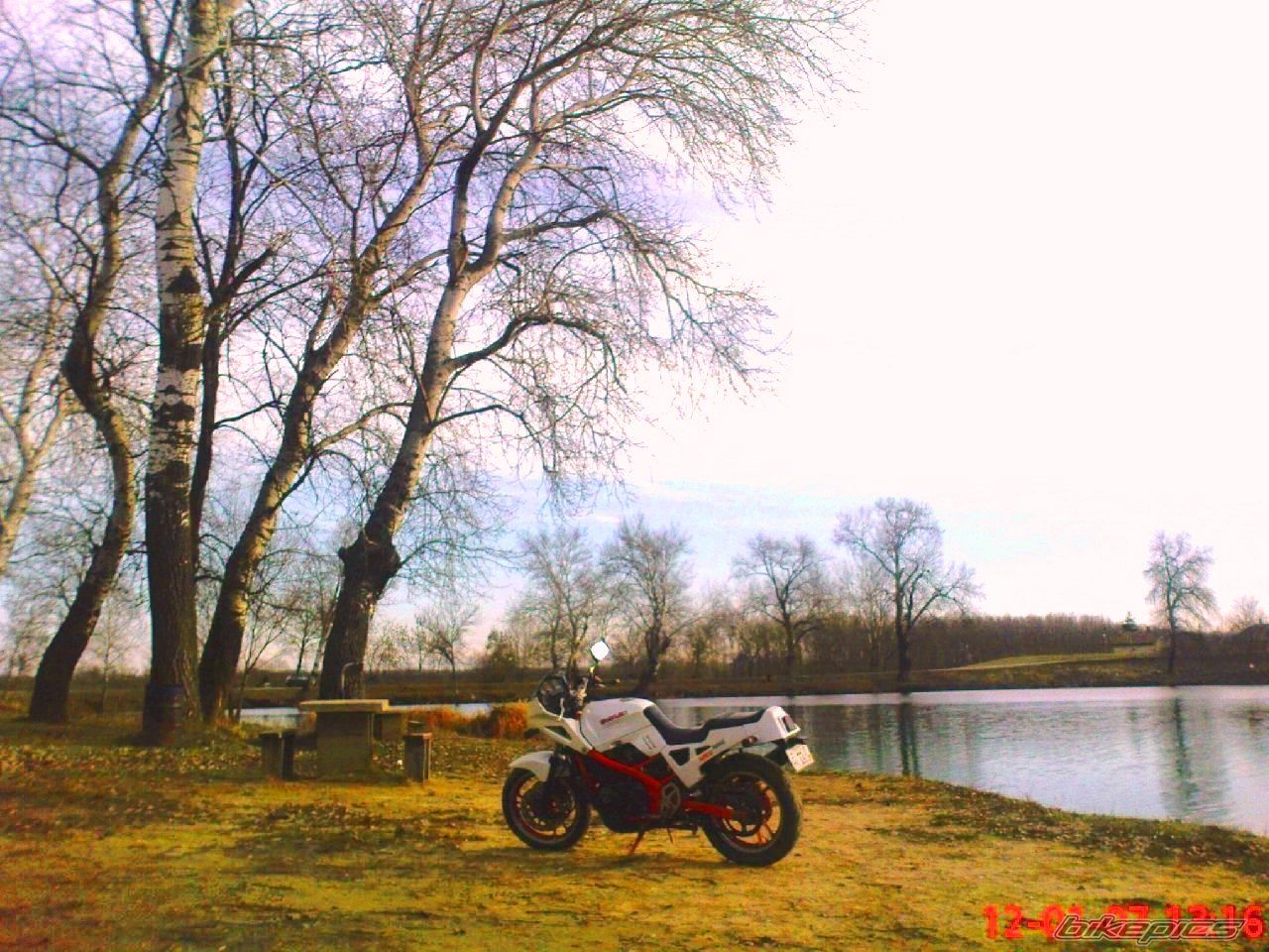Photo 2328555