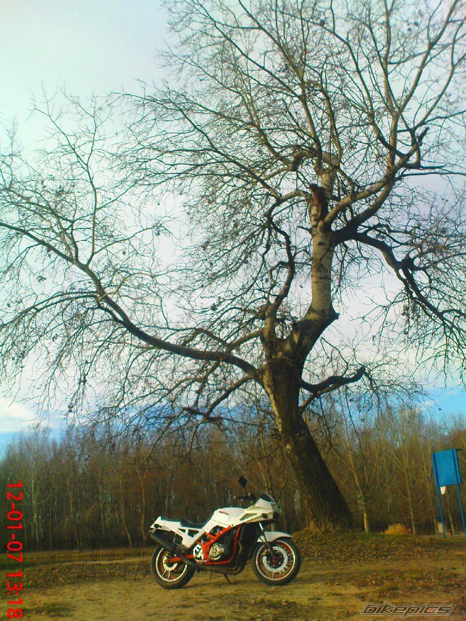 Photo 2328559