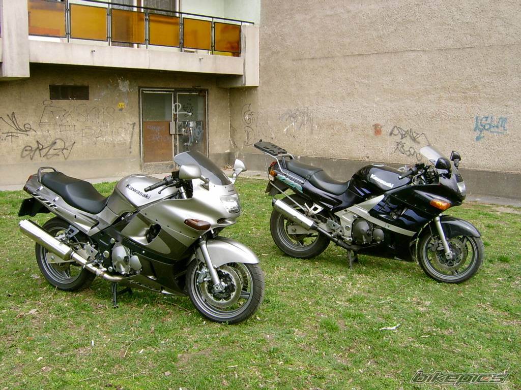 Photo 232857