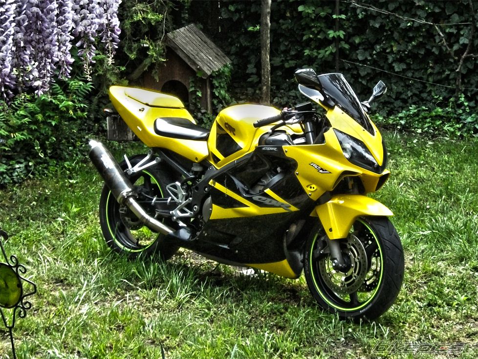 Photo 2328622