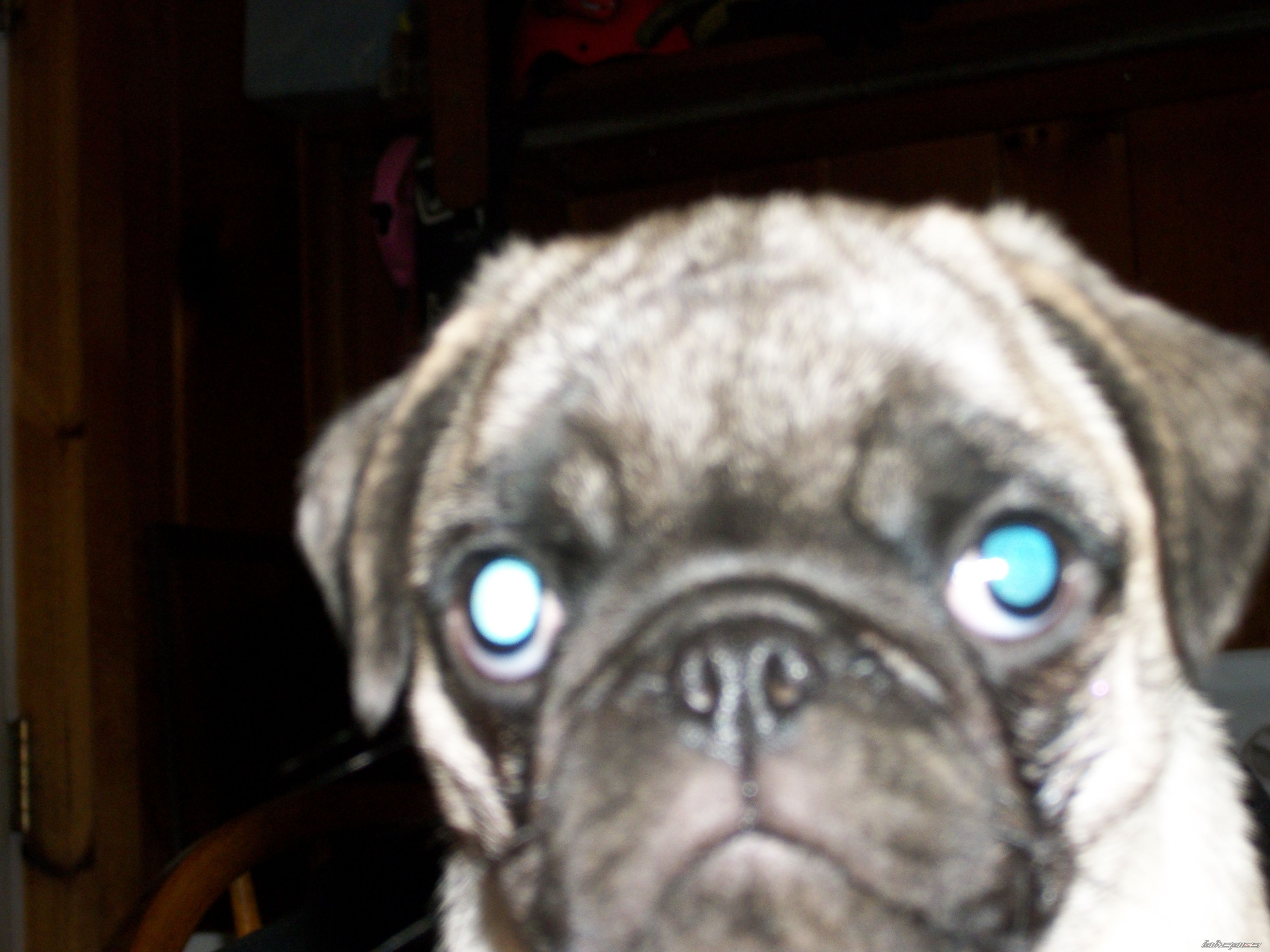 Photo 2328706