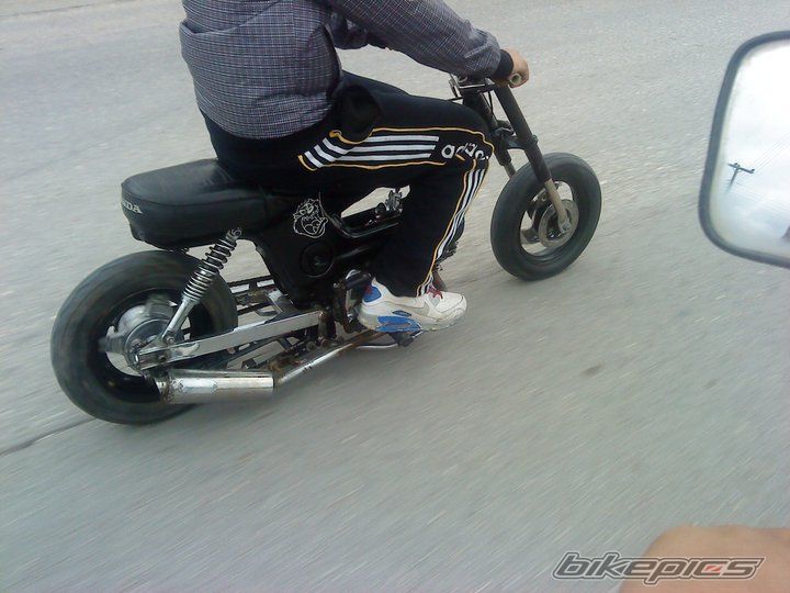 Photo 2328877