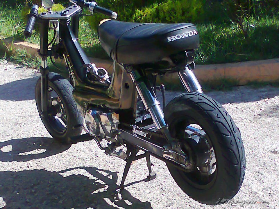 Photo 2328878