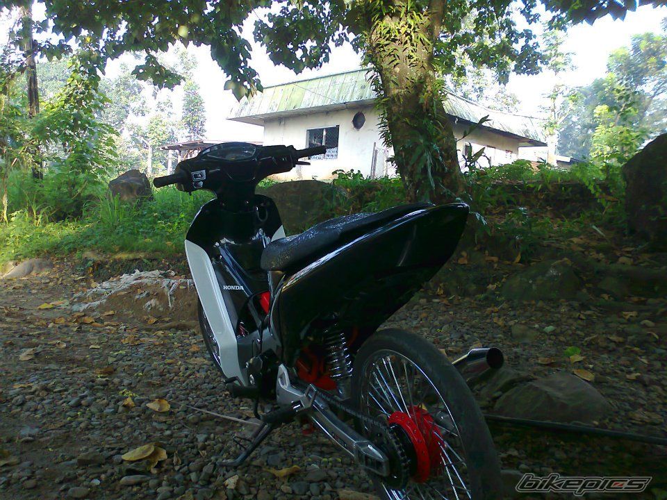 Photo 2328906