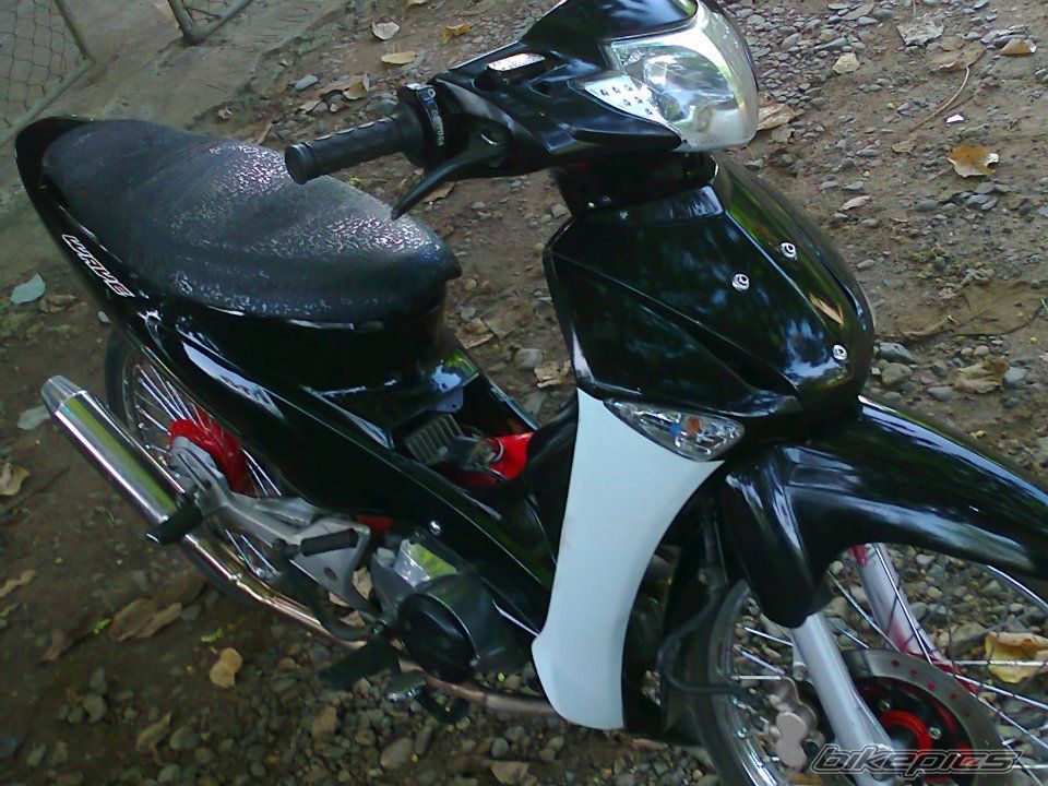 Photo 2328909