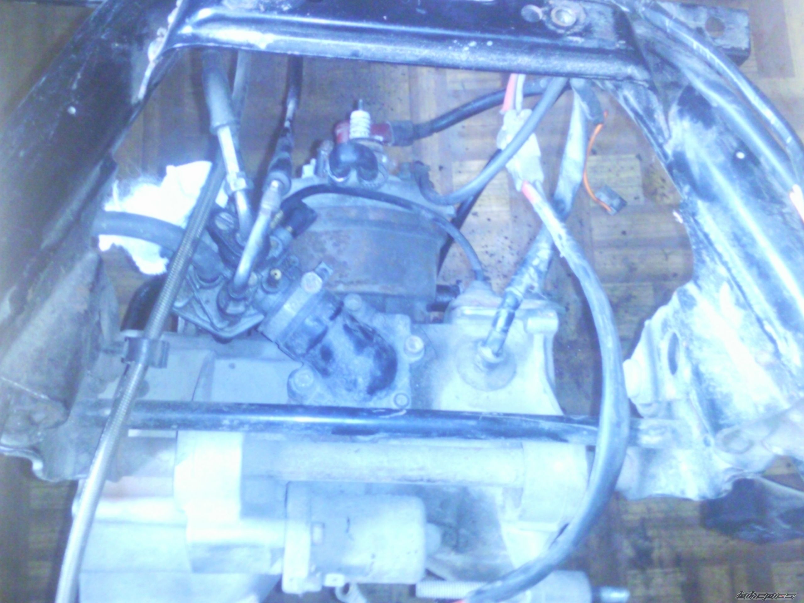 Photo 2328959