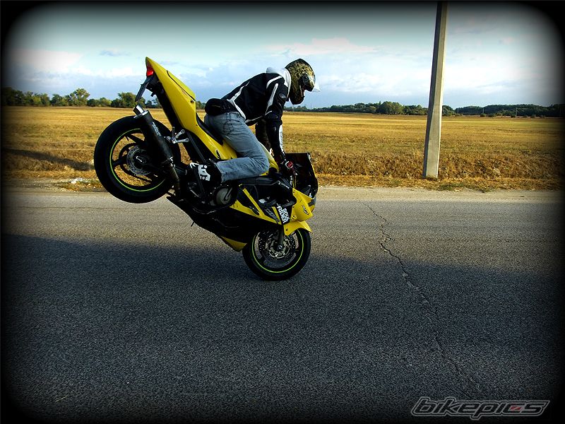 Photo 2328983
