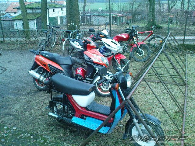Photo 2329033
