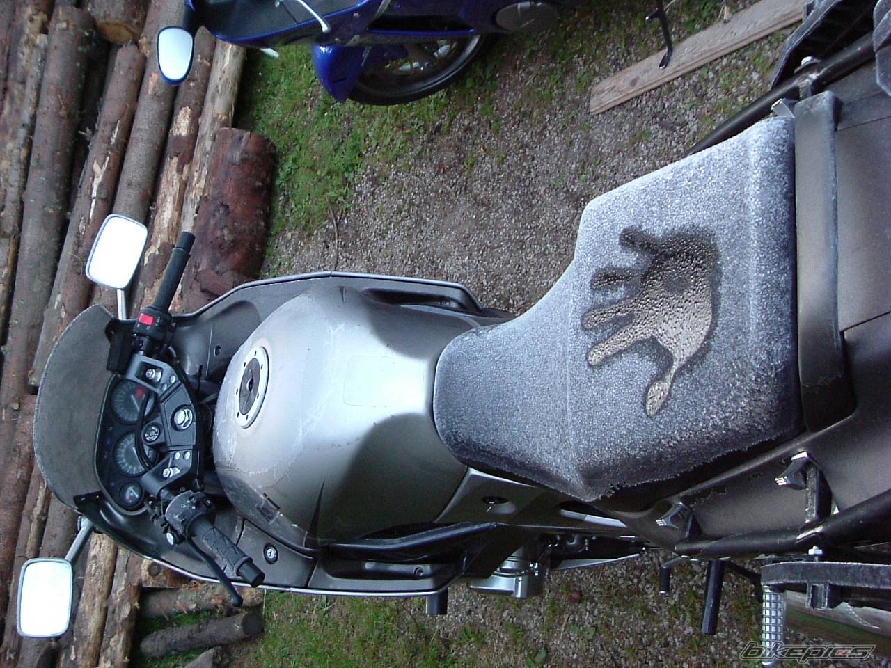 Photo 232905