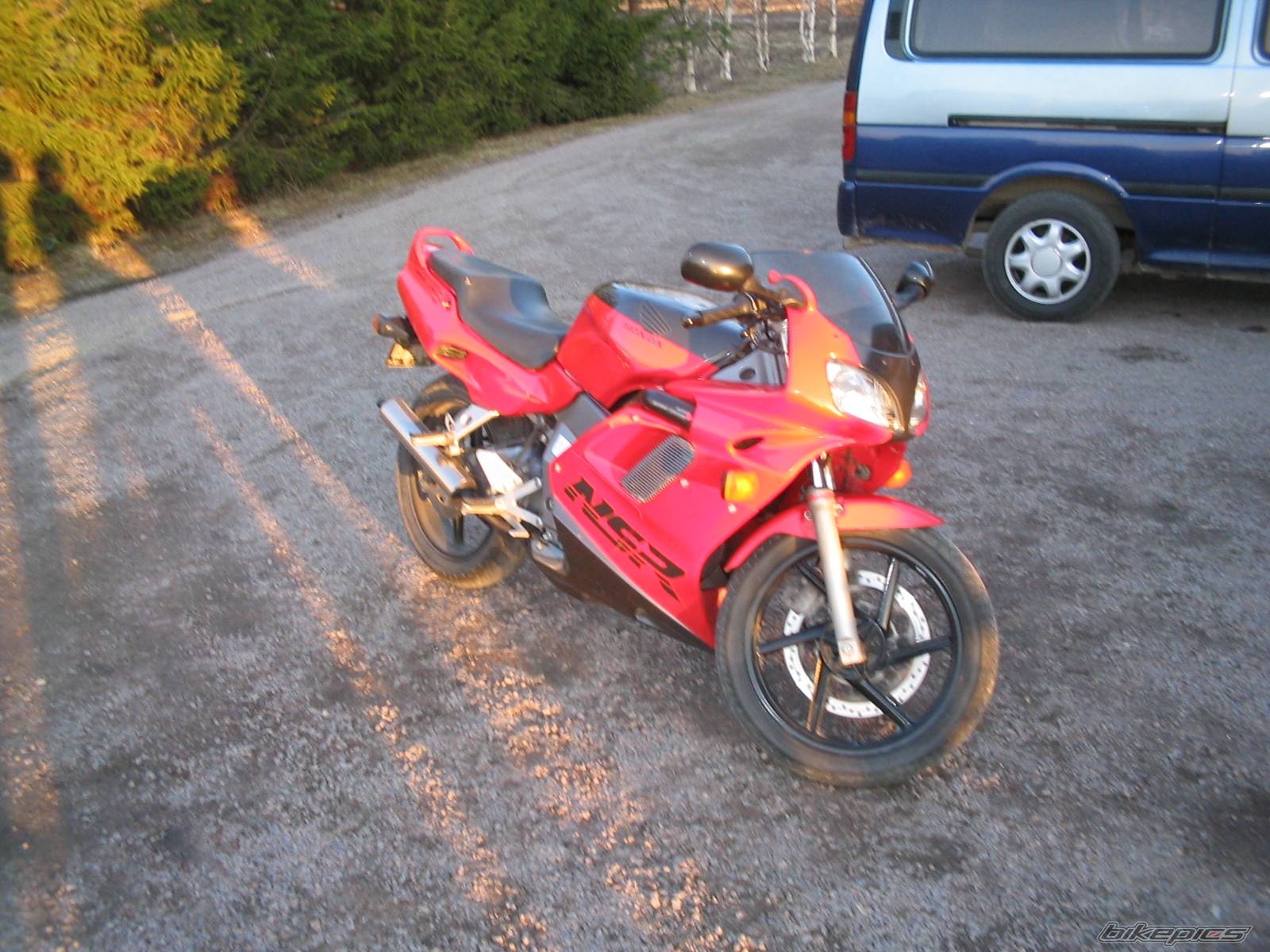 Photo 232912