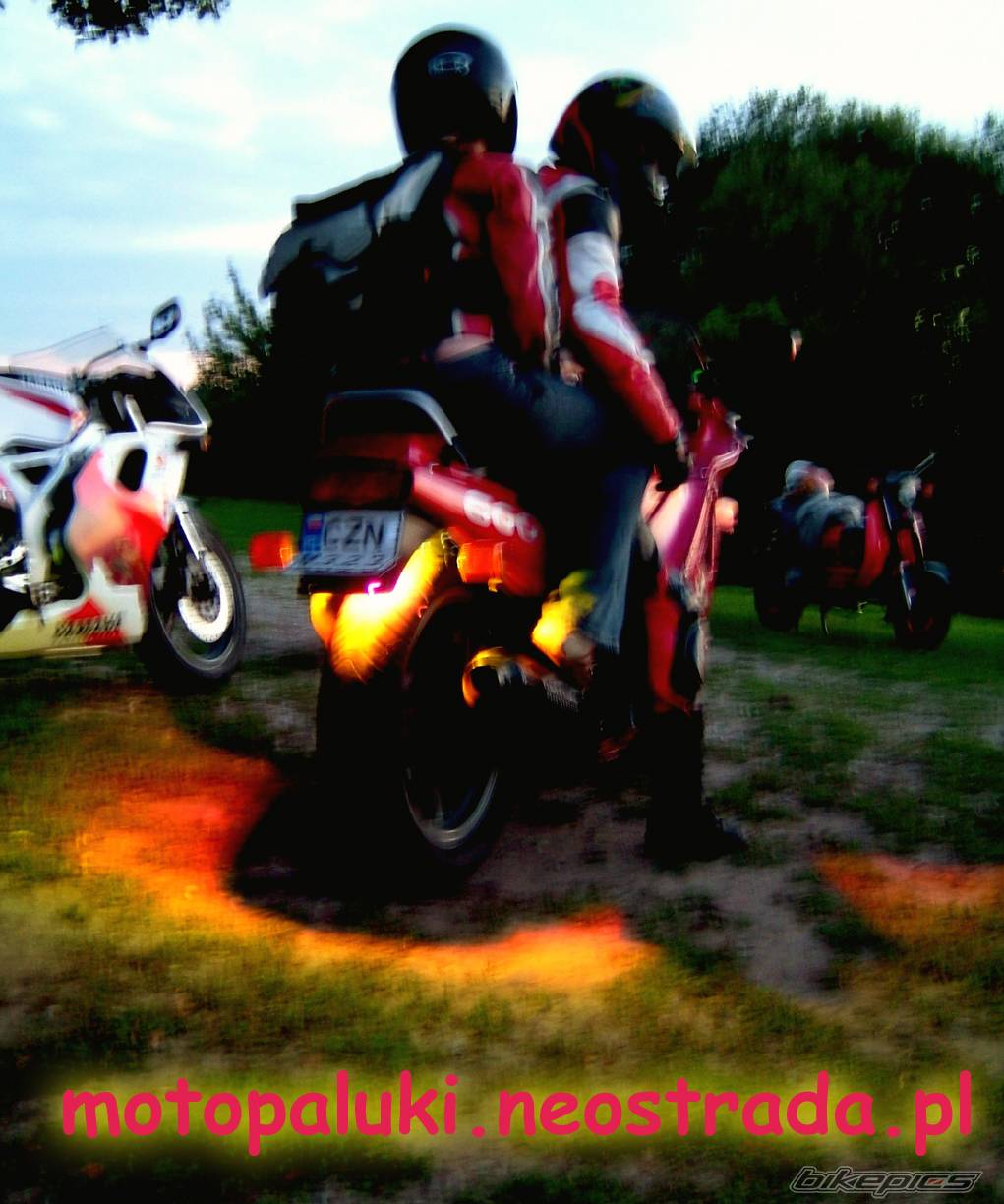 Photo 232913