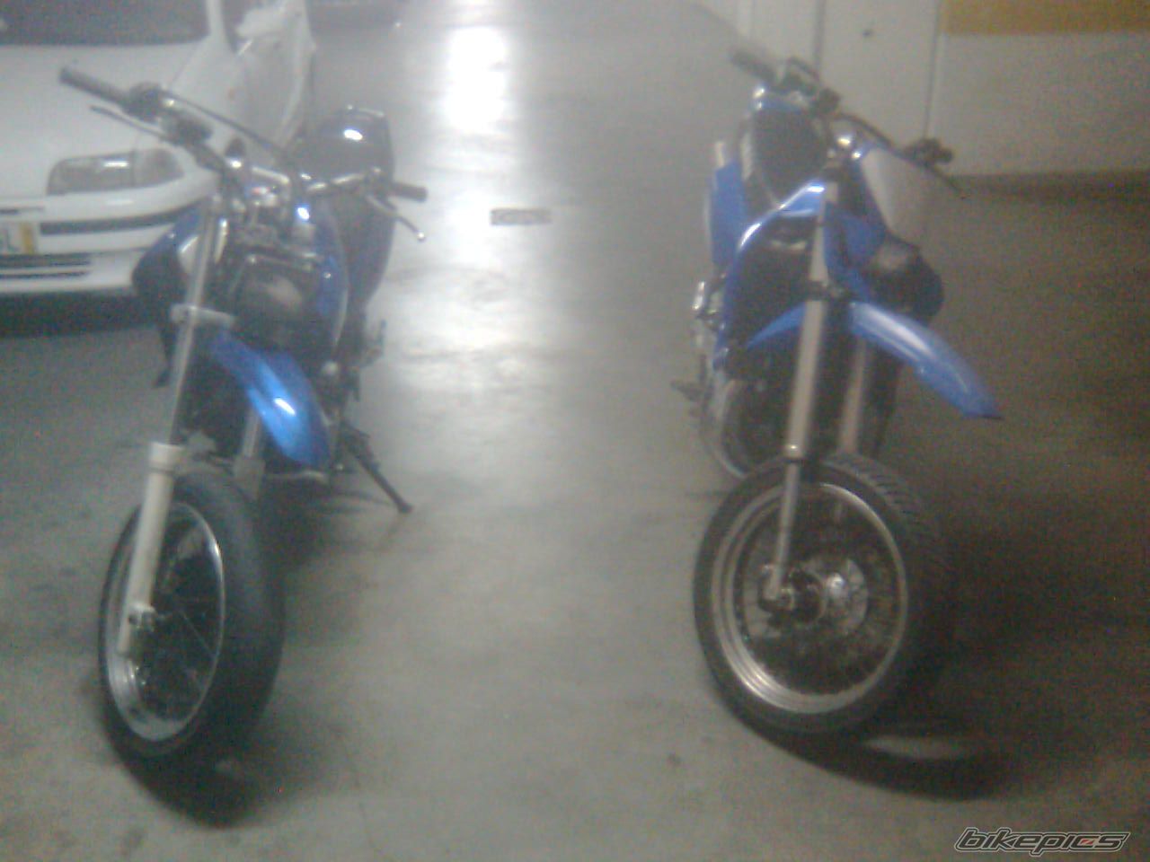 Photo 2329146