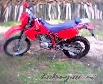 Photo 232915