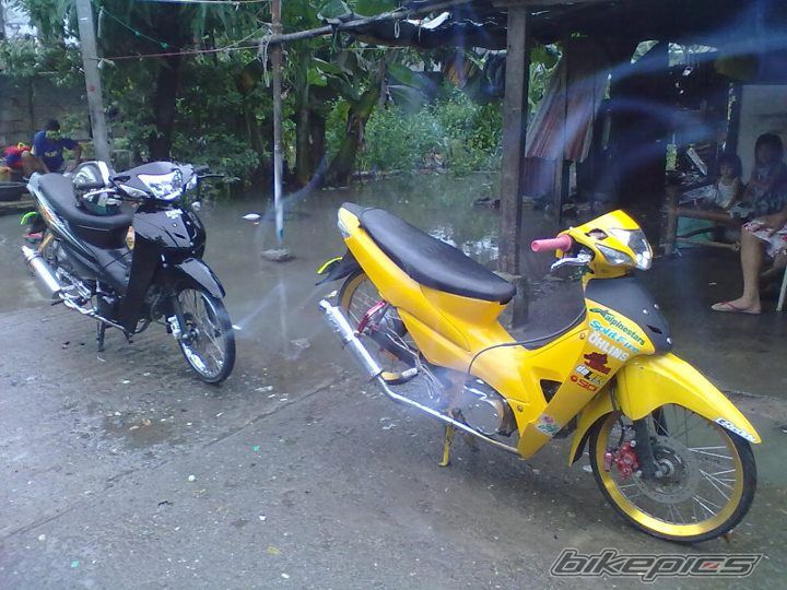 Photo 2329230