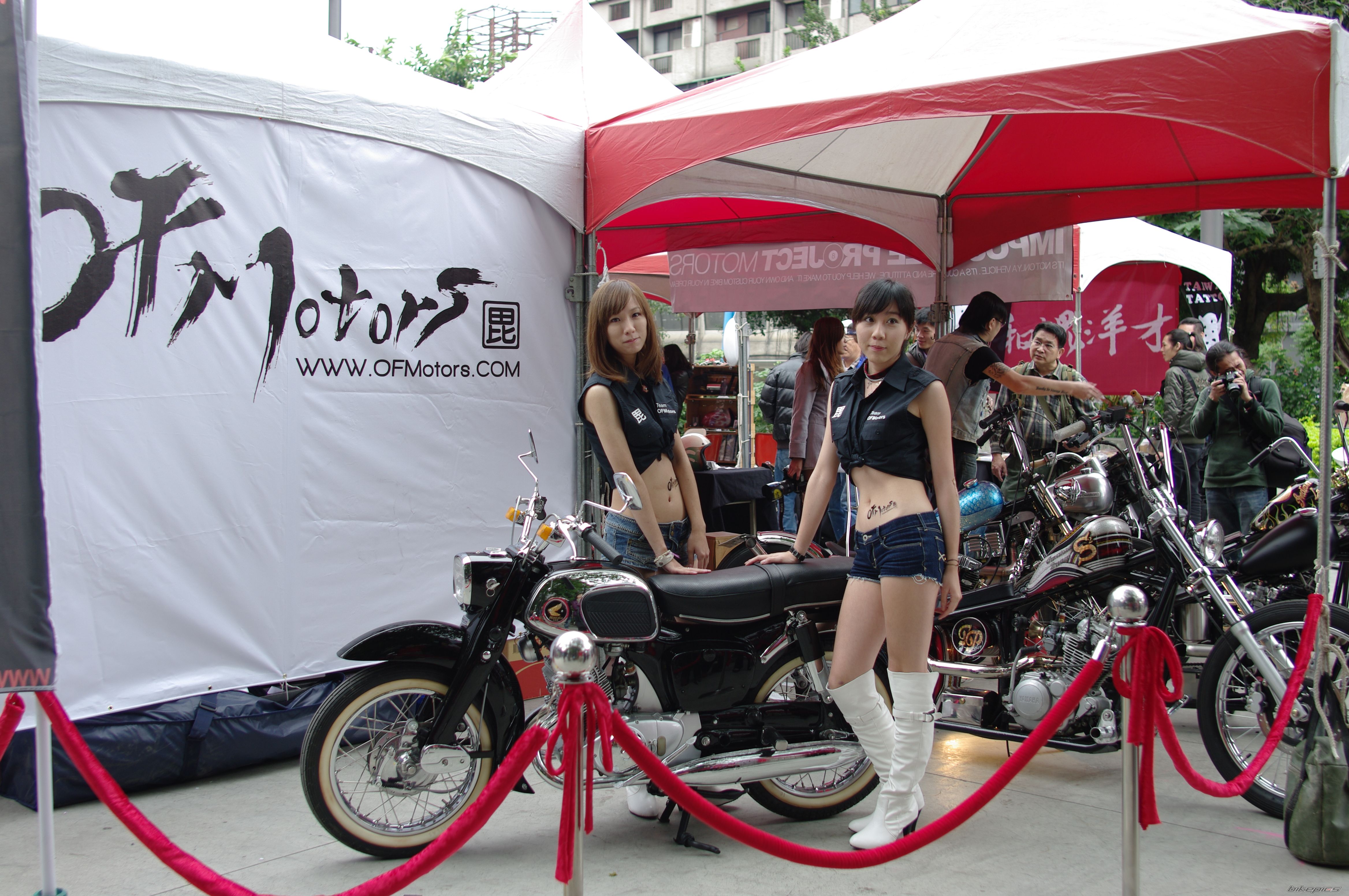 Photo 2329249