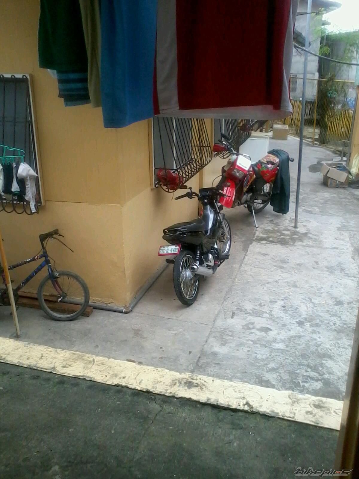 Photo 2329255